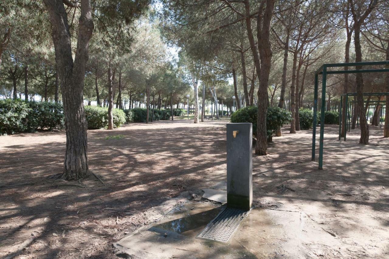 Appartement Basic Platja